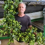 jose eduardo Goncalves