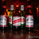 Budweiser + RedStripe + Stella (Ouvindo o melhor blues em Kingstone Mines, Chicago 2011)