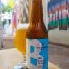 #01 - Belgian Witbier