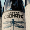 Odonata #9