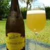 The Bruery Hottenroth Berliner Weisse