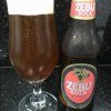 Zebu Bock