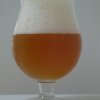 Fort Lapin Tripel 8