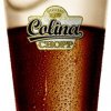 Colina Chopp