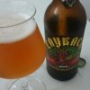 LayBack Beer American India Pale Ale