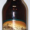 Patagonia Amber Lager