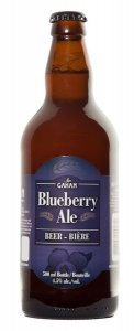 Blueberry Ale