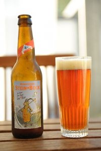 Monsteiner Stein Bock