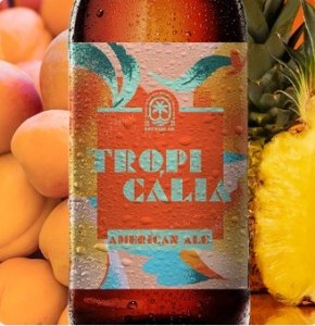 Tropicália American Ale