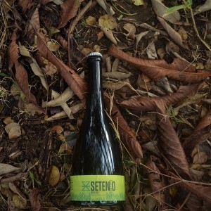 ZalaZ Setenio Wild Ale