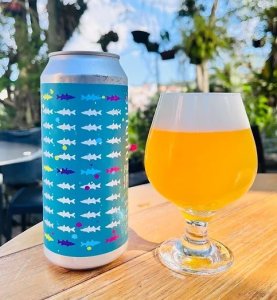 Blackfin Pupu&#039;s Panc IPA