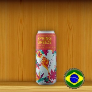 Joy Spring Breeze Sour Ale