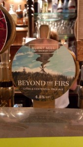 Burnt Mill Beyond The Firs Citra &amp; Centennial Pale Ale - Inglaterra - APA