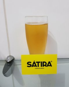 Sátira Pilsen (Growler) Editada.jpg