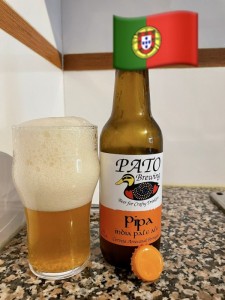 PIPA IPA