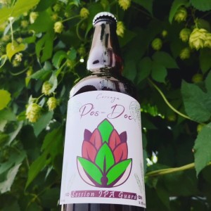 Pós-Doc Session IPA Guará