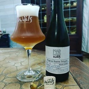 MadLab Wäls Belgian Guava Tripel