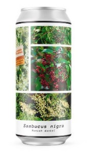 Sambucus Nigra