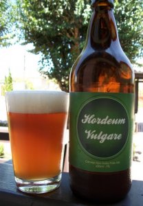 Hordeum Vulgare India Pale Ale