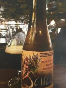 Sara - Belgica - Belgian Dark Ale