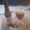 Vintage Altbier