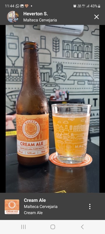 Malteca Cream Ale