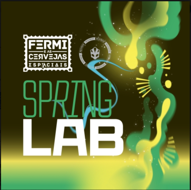 Fermi Spring Lab