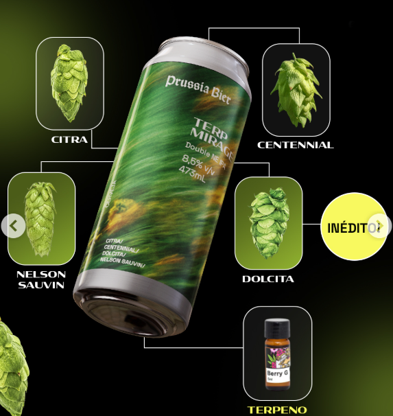 Prússia Terp Mirage