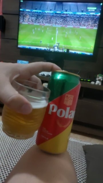 Polar Pilsen